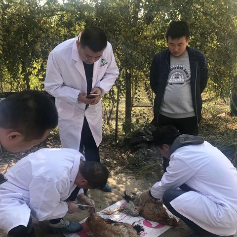 名师团队 第153页