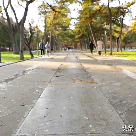 天坛公园游客量破新高，文化体验活动丰富多彩