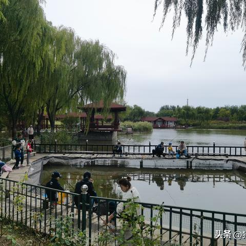 杭州朝阳禅寺开放动态更新，最新消息发布