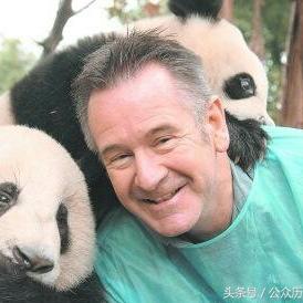 熊猫洋洋最新动态今日播报