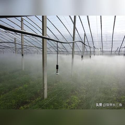 高塘新闻聚焦，本地发展与民生改善报道