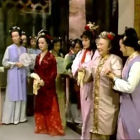 红楼闲聊，视频下载与安装全攻略