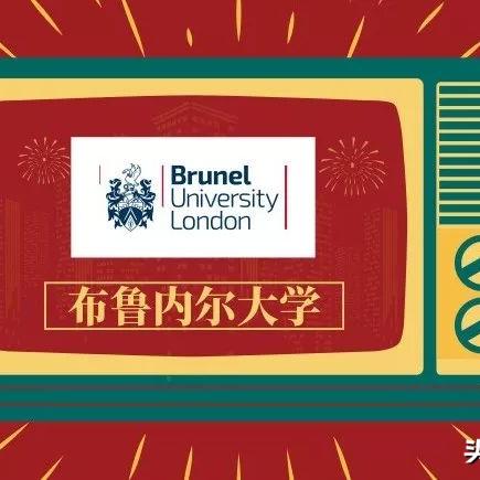 布鲁内尔大学世界排名与综合实力深度解析