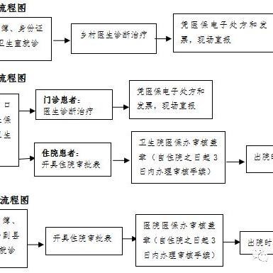 今日医保新闻解读，最新政策与数据全面剖析