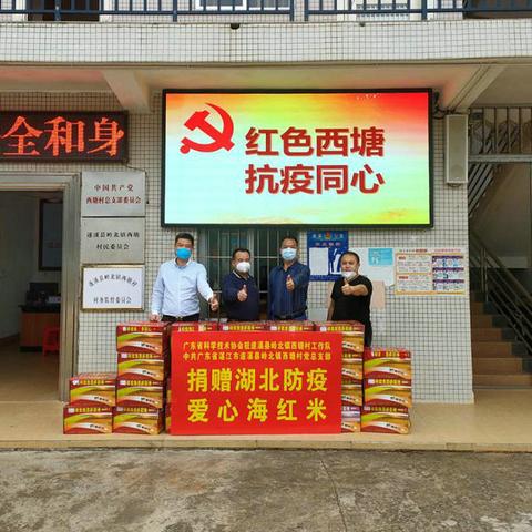 遂溪西塘新篇章，繁荣与发展新闻头条