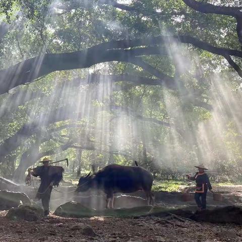 霞浦东壁新篇章揭秘，璀璨新闻头条