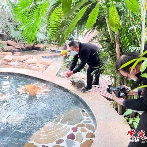 探索桃花源今日份最新消息：5A景区创建与文旅产业新发展