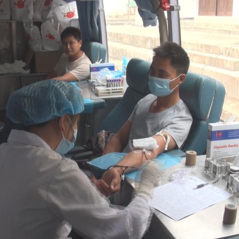 最新真情视频解说大全：轻松下载丰富视频资源