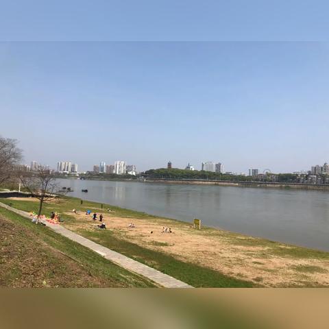 实时更新：今日沙滩水位最新消息与安全指南
