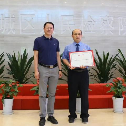 法治新闻深度解析，数据洞察与行动