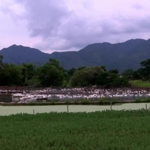 没张倒置 第2页