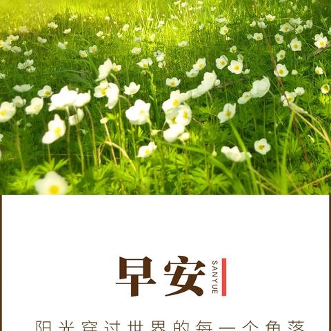 今日简报精华内容汇总