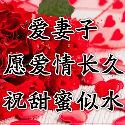 今日祝福歌曲，音乐传递美好祝愿