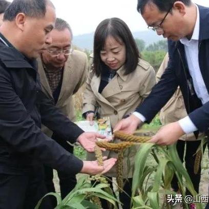 壶关今日天气预测及未来趋势：多变天气下的应对策略