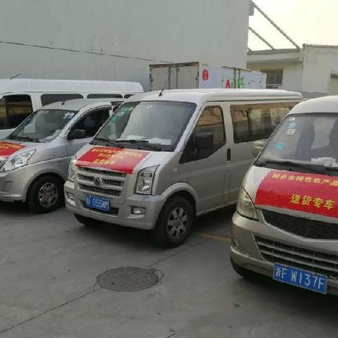 浙江桐乡蔬菜市场最新行情分析与价格走势预测