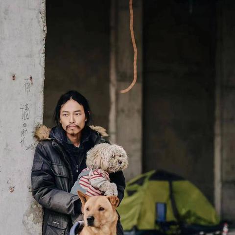 阿星今日头条最新消息：网红夫妻的悲剧与社会反响