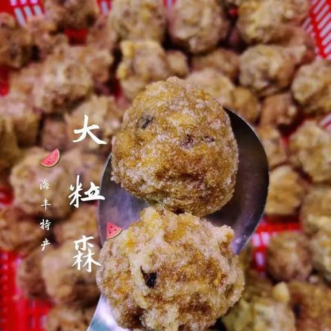 海丰县小学教育改革与招生：提升教学质量与公平性