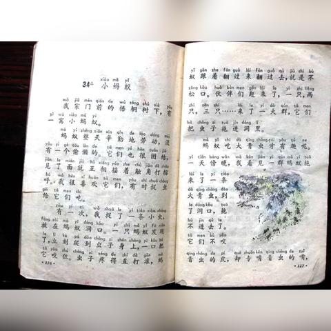 世界80后风采与影响力排名揭秘