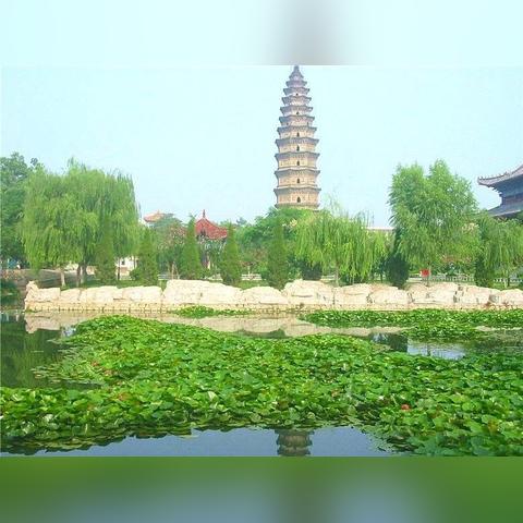 小麦最新价格蒙城，市场分析与未来趋势预测