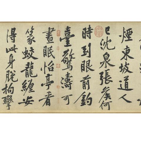 全球松树种类排名概览