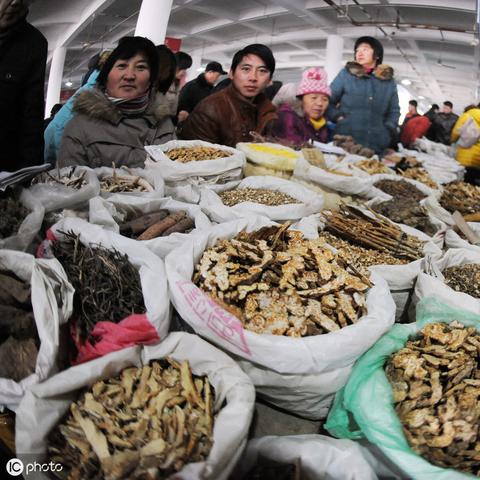 云南各县最新猪价报告，今日行情分析