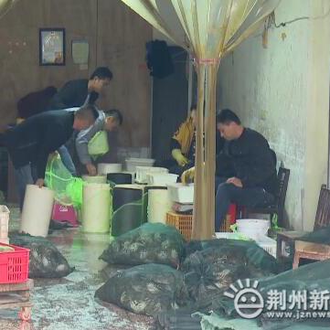 洪湖新闻热点速递，最新消息报道汇总