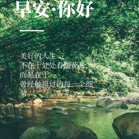 娱乐圈男星励志箴言，坚韧成就辉煌