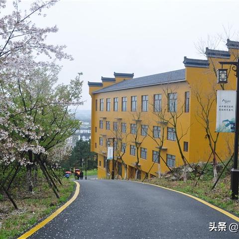 常州焦溪最新动态今日播报
