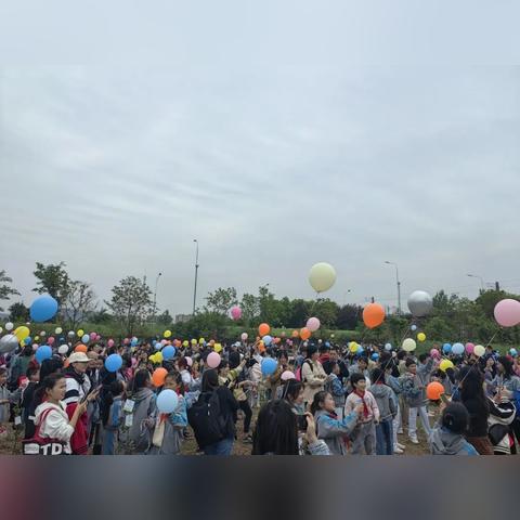 集思广益 第2页
