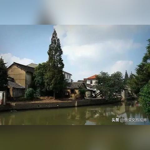 重固镇新闻速递，古镇焕发新活力，发展数据揭示蓬勃态势