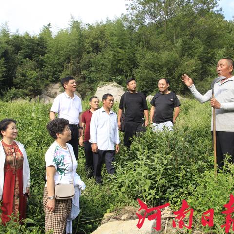 河南信阳四望山迎来重大发展契机，地区图片展示
