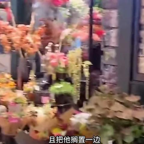澳门一码一码100精准|诠释说明解析