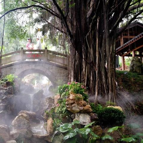 福建今日日报最新消息概览，新闻动态速递