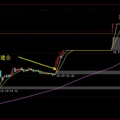 张江最新行情消息及查询服务更新动态