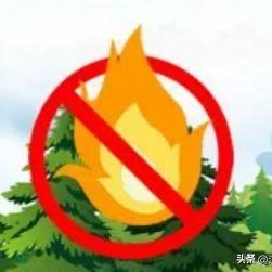 陕西蓝田最新消息更新，今日新闻速递