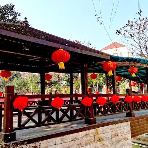 励志校园语录，铸就辉煌人生的数据见证与激励力量