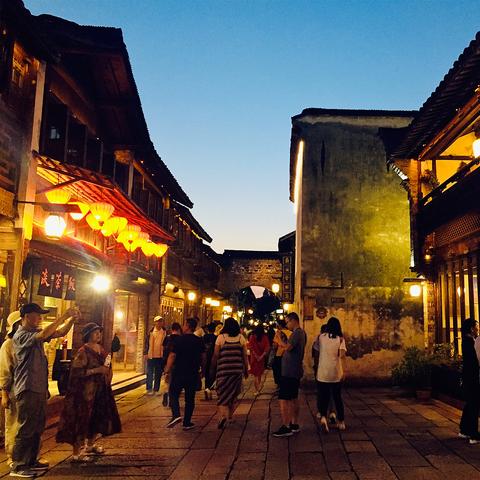 桐乡公共汽车最新规定详解，公交车恢复情况一览