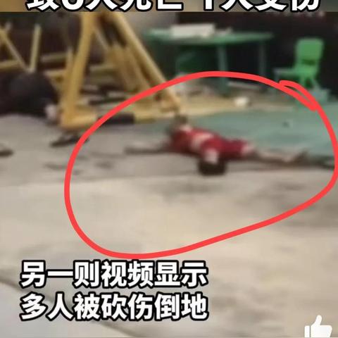 廉江最新消息爆料，新闻与视频一览
