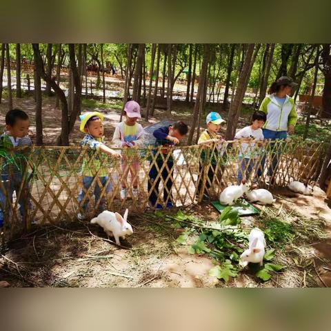 兰州刘家峡最新动态与热点新闻头条视频