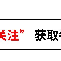 湛江车祸最新消息，今日事故新闻报道