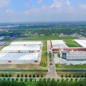 金堂厂房出租最新消息汇总，最新厂房出租信息及动态更新