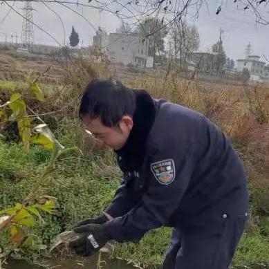 曲靖森警新闻头条，最新消息汇总