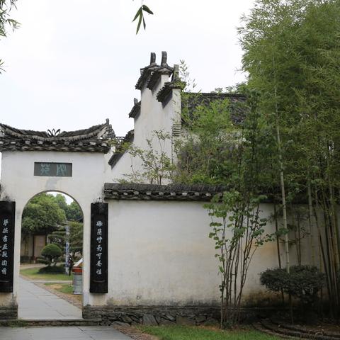景德镇瓷都最新动态，在线新闻头条直播今日播报