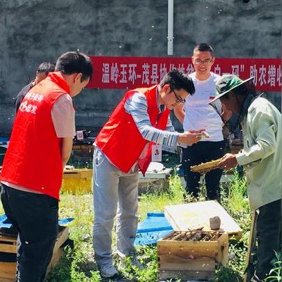 玉环茂县县域经济发展新动态及最新消息速递