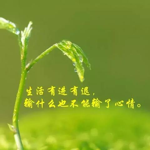 励志语录图片集锦，数据诠释成功的力量与励志大图展示