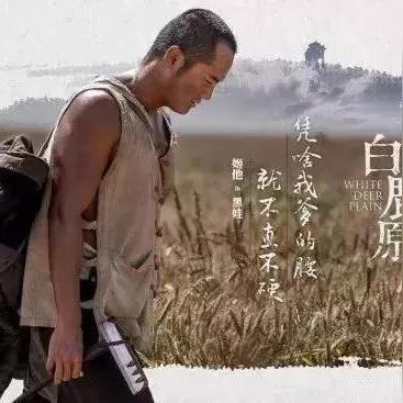 励志修身，数据与行动铸就人生辉煌，励志语录短句助你前行