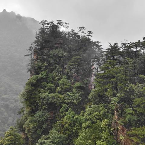 百龙天梯最新开放情况（XXXX年XX月XX日更新）