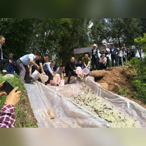 最新西河新闻今日视频报道及直播概况