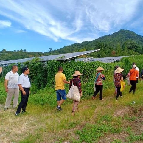 揭秘头条新闻收益与注册时间背后的秘密，收益与注册时长有何关联？