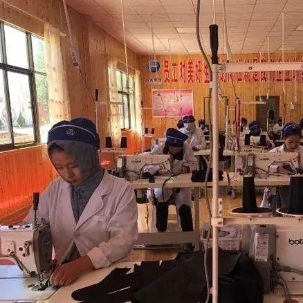 东乡镇社区繁荣新篇章，数据揭示最新发展动态，新闻头条重磅报道